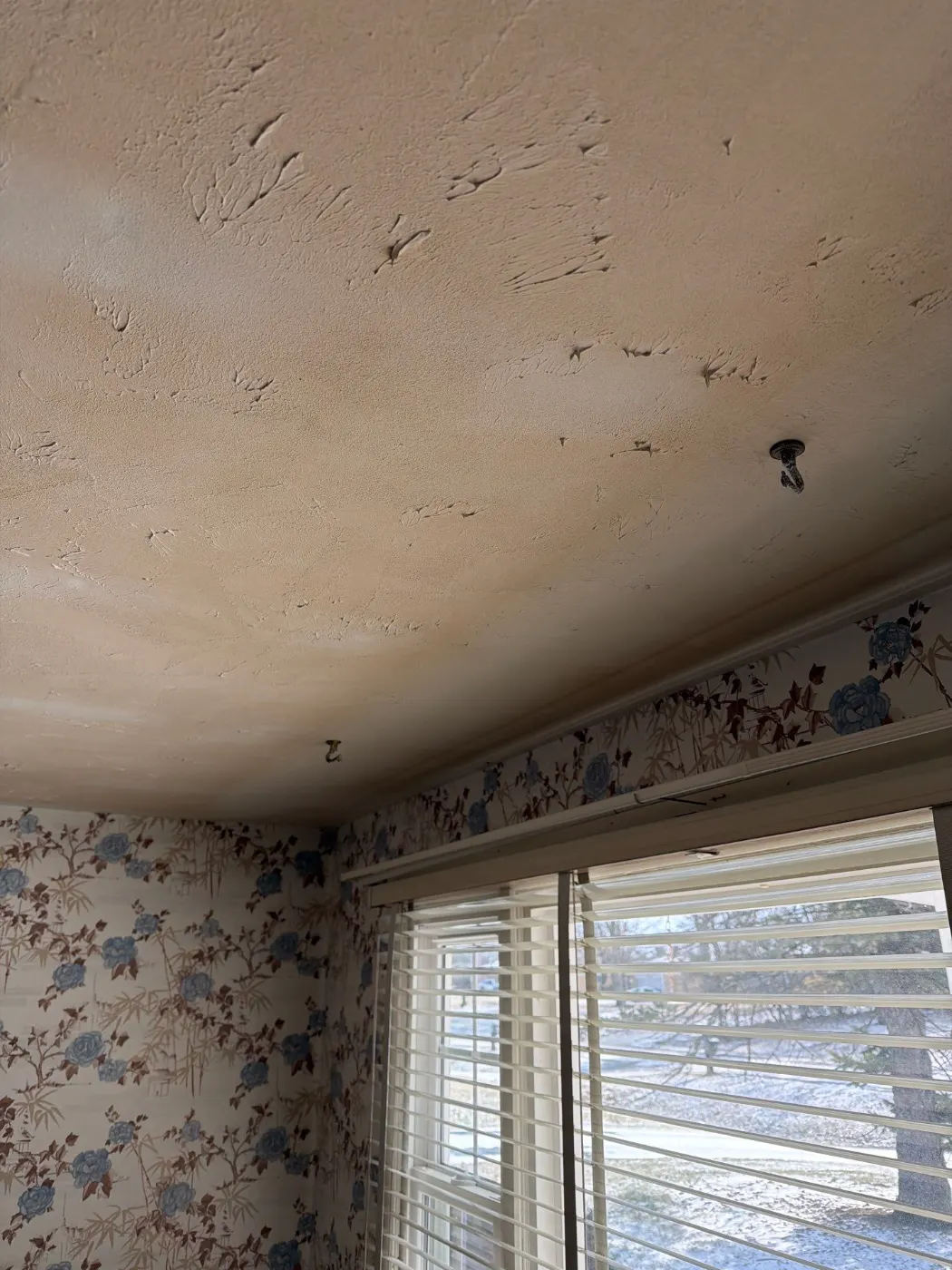 Moisture meter reading on drywall in Brooks Crossing water loss